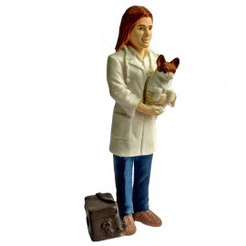 Veterinarian Pets Doctor Educational Toy 1:30 Scale Train Model Figure Figurine